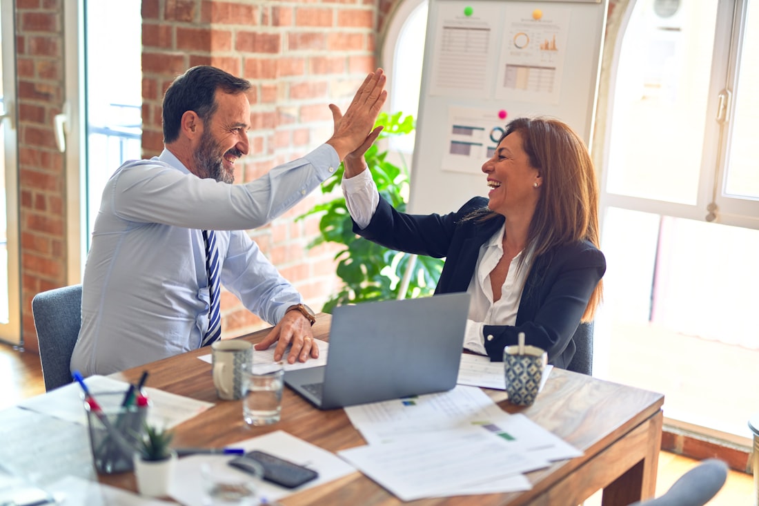 Professional Services business